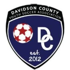 Davidson County YSL
