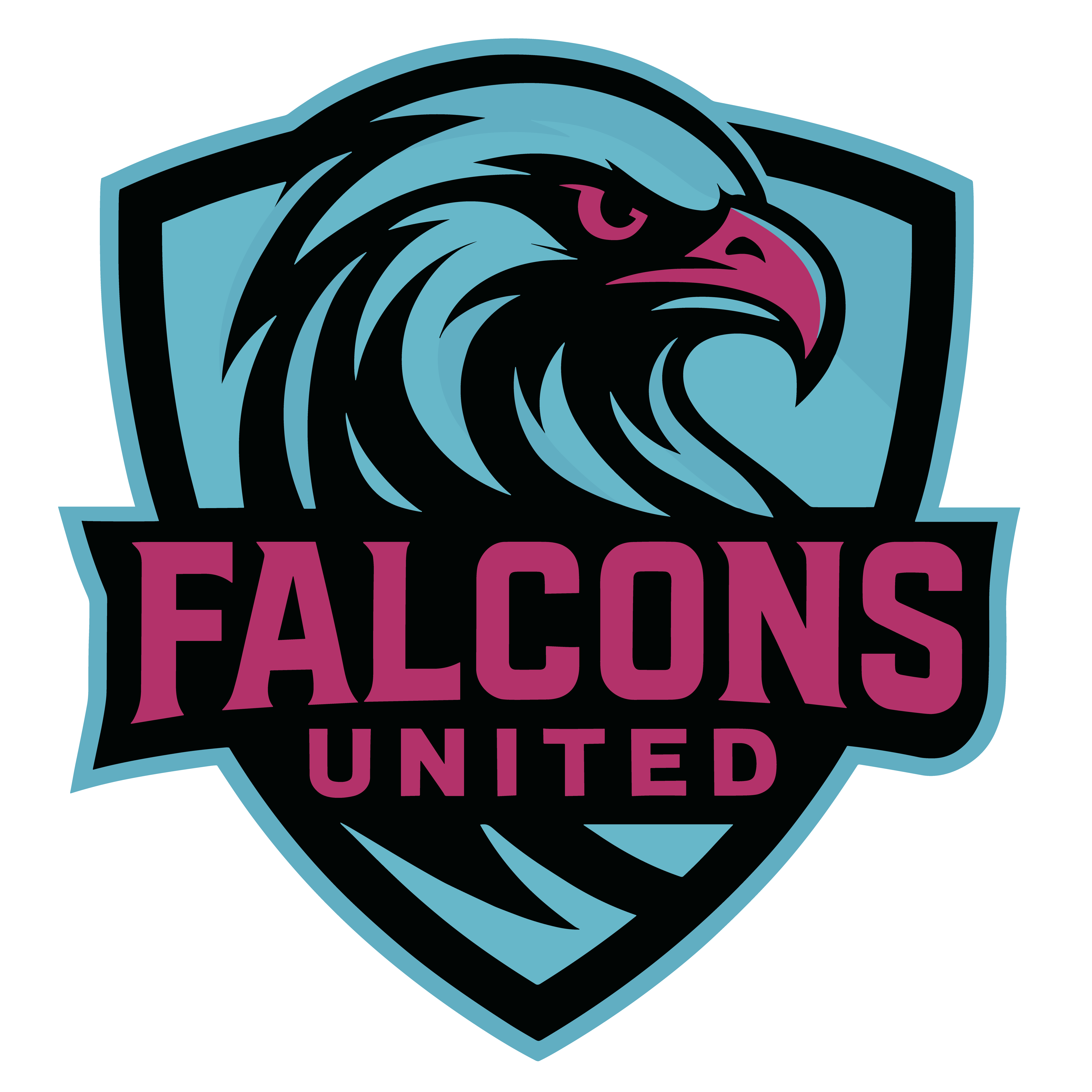 Falcons United